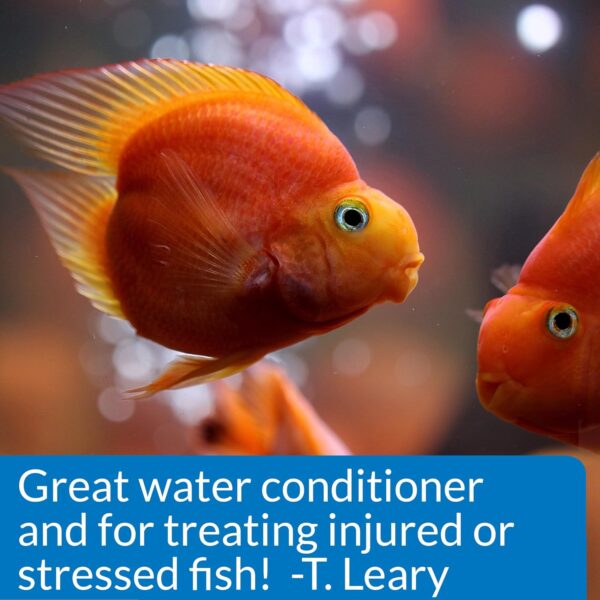 API Stress Coat Aquarium Water Conditioner, Fish , 473 ml Bottle - Image 6