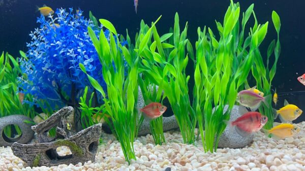 Aquarium Fish Tank Decorations, 16 Pcs Blue Tree & Green Seaweed & Shipwreck Decor Ship Ornament, Artificial Plastic Plants Set for Betta Fish, Goldfish, Turtle - Image 9