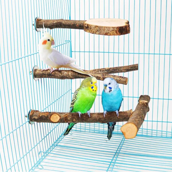 NA Allazone 6 PCS Natural Wood Bird Perch Stand, T shape Bird Parrot Perch Stand Set, Wooden Parrot Perch Stand Perch Platform Cage Accessories for Parrotlets Cockatiels - Image 5
