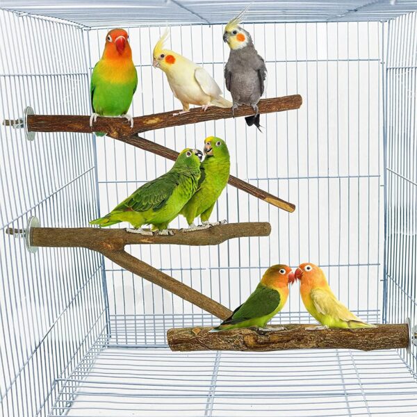 5 PCS Bird Parrot Perches for Cage 9.84 inches Natural Wood Perch Platform Stand for Parrots Birds Cage Parakeets Cockatiels Conures Cages Accessories (5 PCS) - Image 6