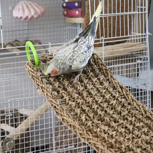 100 x 18 CM Bird Seagrass Mat, Natural Seagrass Woven Net, Bird Hammock Mat with Hooks, Bird Cage Accessories, Climbing Rope Ladder Chew Toys for Cockatiel Hamster Guinea Pig Rats Hamster Parakeet - Image 2