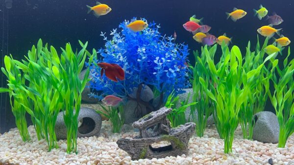 Aquarium Fish Tank Decorations, 16 Pcs Blue Tree & Green Seaweed & Shipwreck Decor Ship Ornament, Artificial Plastic Plants Set for Betta Fish, Goldfish, Turtle - Image 4