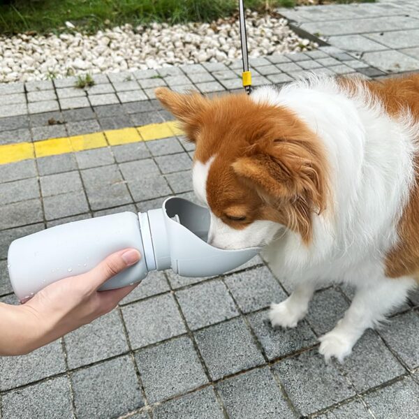Foldable Dog Water Bottle, 550ml/19 oz Portable Leak Proof Water Feeder, Food Grade Silicon Water Dispenser, Pet Accessories for Walking Hiking Travel - Image 4