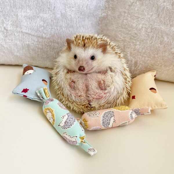 Ymid Select 4 Pcs Hedgehog Mini Pillows Small Animal Toys Habitat Decor Cage Accessories Hedgehog Supplies Photo Props Toy for Ferret,Rabbit,Bird,Parrot,Mouse,Chinchilla, Rat,Gerbil,Dwarf Hamster - Image 4