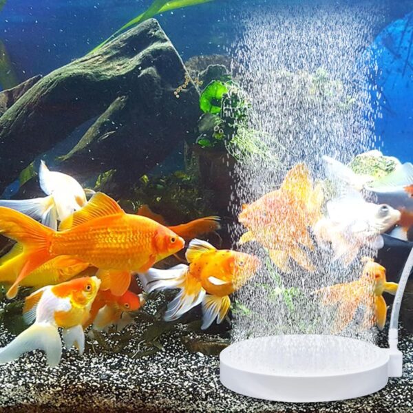 BLLREMIPSUR Aquarium Air Stone, 100MM Oxygen Diffuser Bubbler Fish Tank Oxygen Aerator with Air Tube Air Pump Accessories for Aquarium Fish Tank Hydroponic - Image 7