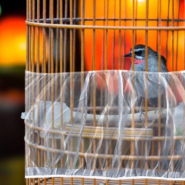NAUZE 2 Pieces Bird Cage Net Cover Bird Cage Seed Catcher Adjustable Birdcage Cover Ventilate Dustproof for Bird Cage Accessories - Image 6