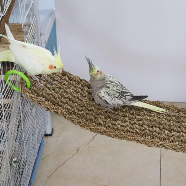 100 x 18 CM Bird Seagrass Mat, Natural Seagrass Woven Net, Bird Hammock Mat with Hooks, Bird Cage Accessories, Climbing Rope Ladder Chew Toys for Cockatiel Hamster Guinea Pig Rats Hamster Parakeet - Image 3