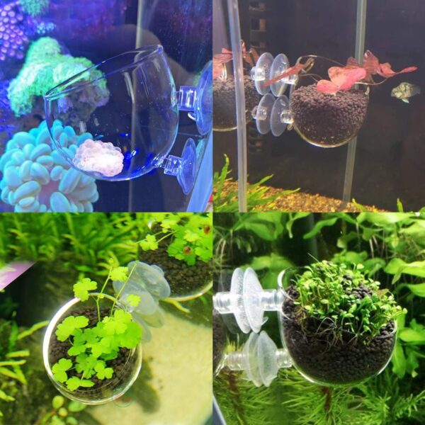 Pack of 2 Aquarium Glass Cup Pots, Aquarium Plant Holder Cup Pots with Suction Cups, Aquatic Plant Holder Accessories Aquarium Fish Tank - Image 2