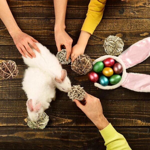 Hioph 6 Pcs Rabbit Chew Ball, Bunny Treats Chew Toys for Teeth, Small Animal Natural Timothy Grass Molar Ball, Guinea Pigs Activity Play Rattan Woven Balls - Image 5