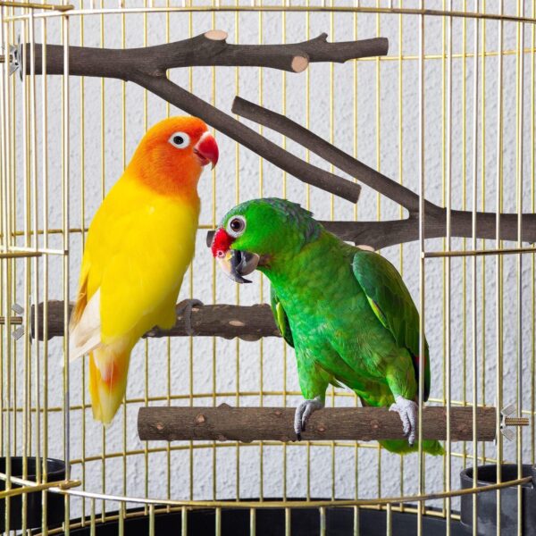5Pcs Bird Perch Toys, Natural Wood Parrot Perch Perch Platform Cage accessories, Bird Cage Perch Chew Toys for Birds Such as Parrots - Image 7