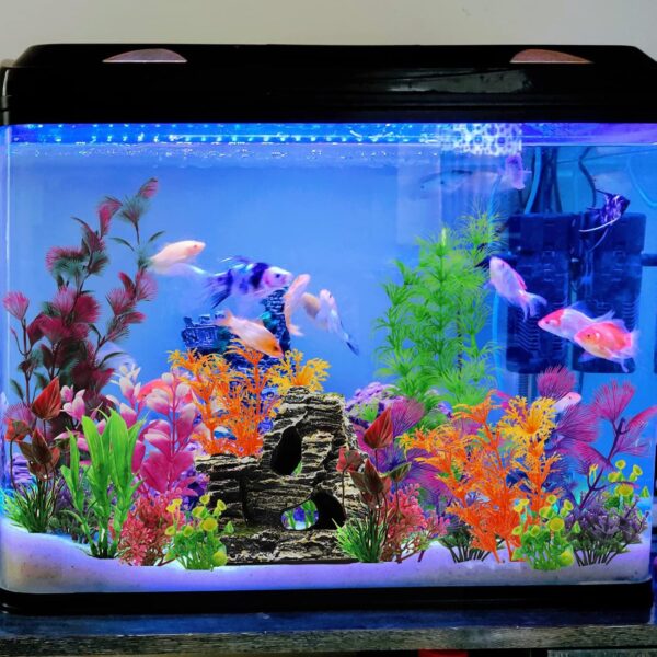 QUOZUO 25pcs Aquarium Decorations Plants with Rockery View, Aquarium Decor Plastic Plants and Rock Cave Hideout Ornaments, Fish Tank Accessories Plants for aquariums - Image 3