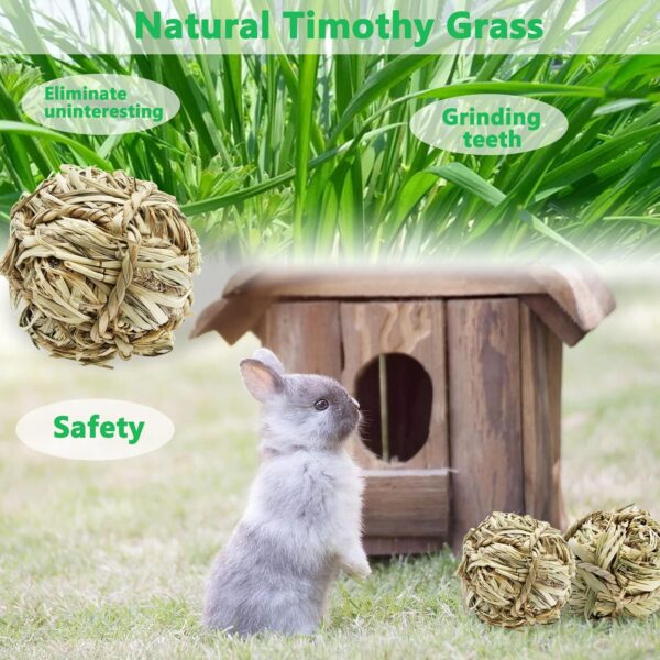 Hioph 6 Pcs Rabbit Chew Ball, Bunny Treats Chew Toys for Teeth, Small Animal Natural Timothy Grass Molar Ball, Guinea Pigs Activity Play Rattan Woven Balls - Image 6