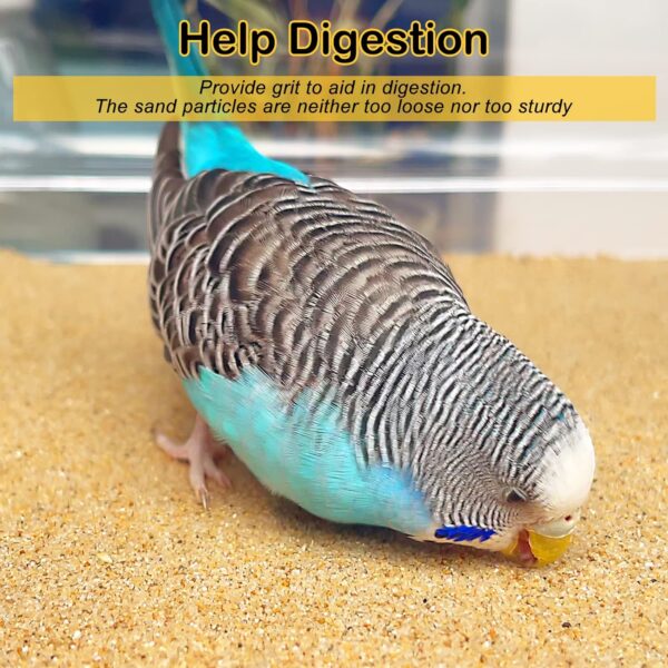 S&X Sand Sheets for Bird Cage 40cm x 25cm, Gravel Liner Paper 12PCS/Pack - Image 4