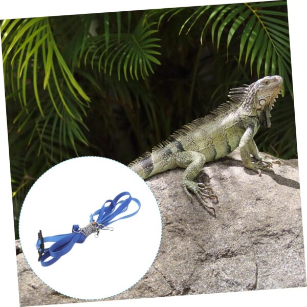 Yardwe Turtle Leash Slip Leads for Dogs Bearded Dragon Small Animal Leash Baby Items Dealspet Supplies Reptilians Ferret Harness and Leash Tortoise Rope Reptiles Walking Turtle Rope Glass - Image 5