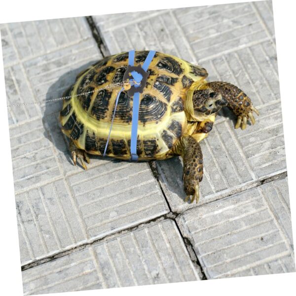 Yardwe Turtle Leash Slip Leads for Dogs Bearded Dragon Small Animal Leash Baby Items Dealspet Supplies Reptilians Ferret Harness and Leash Tortoise Rope Reptiles Walking Turtle Rope Glass - Image 8