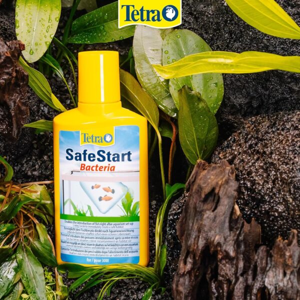 Tetra SafeStart Aquarium Starter - with live nitrifying bacteria, allows the rapid introduction of fish in an aquarium, 50 ml bottle. - Image 4