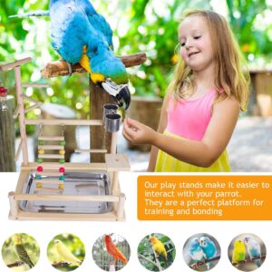 Bird Perch Stand Toy, Wooden Parrot Playground Gym, Budgie toys, Bird Cage - budgie cage - parrot cage Accessories for Small Parakeets, Cockatiels, Finches, Budgie(40 * 26 * 8CM)