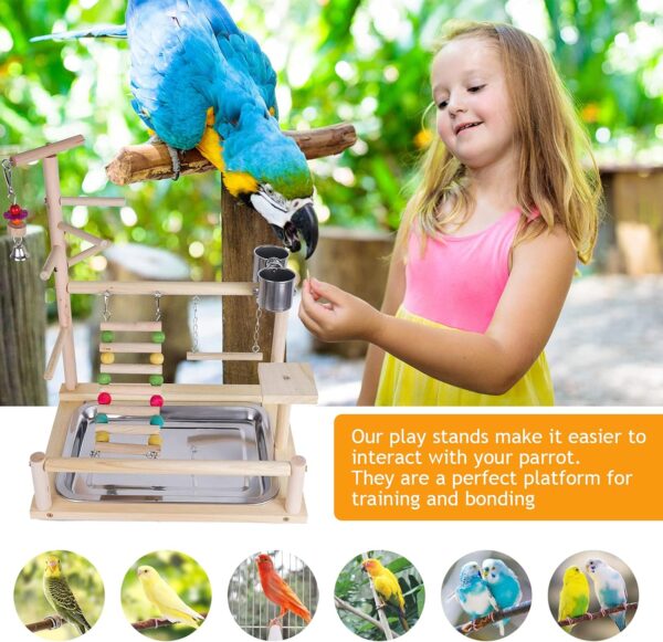 Bird Perch Stand Toy, Wooden Parrot Playground Gym, Budgie toys, Bird Cage - budgie cage - parrot cage Accessories for Small Parakeets, Cockatiels, Finches, Budgie(40 * 26 * 8CM)