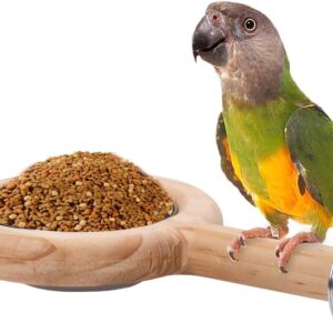 Bird Perch with Bird Feeding Cup, Parrot Wood Perch Tree Bird Perch Stand, Solid Wood Perch for Bird Cage Accessories for Parakeet Lovebird Cockatiel Small Birds