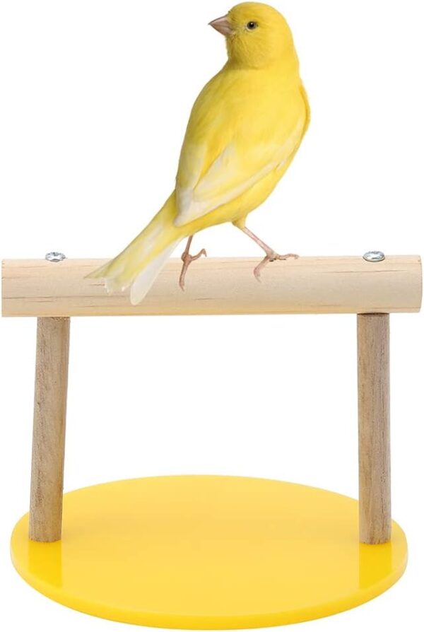 Bird Play Stands Wooden Tabletop Parrot Perch Shelf Portable Training Playground Parrot Chewing Biting Toy Bird Cage Accessories for Small Medium Birds