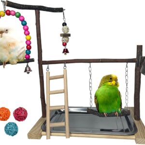 Bird Playground Parrot Playstand Parakeet Gym Playpen Cockatiel Play Stand Wood Perch Exercise Activity Center Ladders Feeder Cups Cage Accessories Swing Chew Toys for Cockatoo Budgie Lovebird Finch