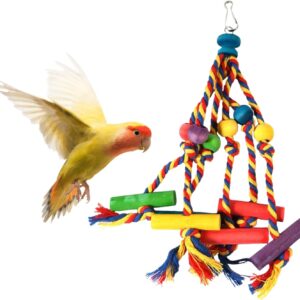 Colorful Bird Chew Toy,Wooden Cockatiel Toys,Parrot Toy,Bird toys for Caged Birds,Bird Cage Accessories for Budgies for Small Parakeets,Cockatiels,Budgies,Love Birds