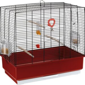 Ferplast Bird Cage PIANO 4, Canary Cages, Small Bird Cage, with Bird Feeders, Bird Drinker Water Dispenser, 59 x 33 x h 55 cm, with Accessories, Removable Tray