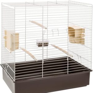 Ferplast Bird Cage Sonia Large Cage for Birds, Parakeets, Parrotlets, Cockatiels, Parrots, Metal, Accessories included Rotating Feeders Perches, 61.5 x 40 x h 65cm.