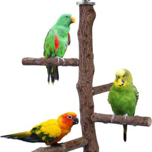 Filhome Bird Perch Stand Toy, Natural Wood Parrot Perch Bird Cage Branch Perch Accessories for Parakeets Cockatiels Conures Macaws Finches Love Birds (M: 10" Length)