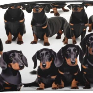 KoNsev Dachshund Weiner Pet Dog Travel Toiletry Bag For Men&Women Accessories Organizer, Tiny Coin Purse Wallet, Little Pouch, Dachshund Weiner Pet Dog, One Size