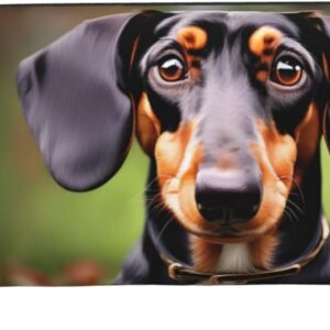 KoNsev Dachshund Weiner Pet Dogs Travel Toiletry Bag For Men&Women Accessories Organizer, Tiny Coin Purse Wallet, Little Pouch, Dachshund Weiner Pet Dogs, One Size