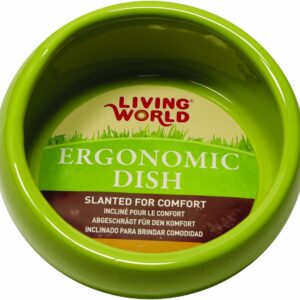 Living World Ergonomic Food Dish, for Small Animals, Green, Small, 4.22 oz, 61680A1