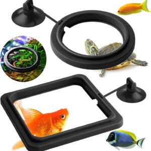 Molain Fish Feeding Ring, 2 Pieces Fish Feeder Aquarium Fish Turtle Tank Accessories Food Feeder Circle For Guppy, Bettas, goldfish, Turtle (Black)