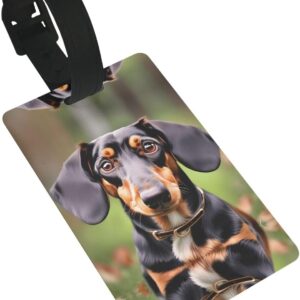 Mqgmz Dachshund Weiner Pet Dogs Print Suitcase Tag Luggage Tags Labels,Instrument Leather Bag Case Tags Travel Accessories