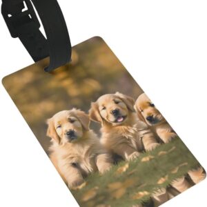 Mqgmz Golden Retriever Dogs Puppies Pets Print Suitcase Tag Luggage Tags Labels,Instrument Leather Bag Case Tags Travel Accessories