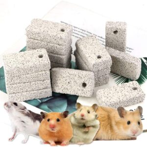 Newbested 20 Pcs Small Animal Pet Lava Bites Chews Toy Teeth Grinding Block Mineral Calcium Stone for Hamsters Parrot Chinchillas Rabbits