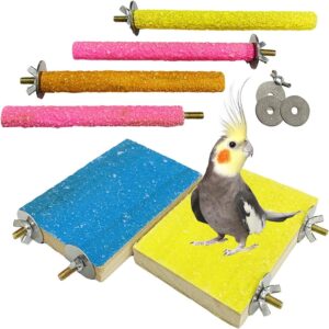 PINVNBY Bird Perch Stand Toy Natural Wooden Parrot Claw Sticks Budgie Playground Grinding Paw Cage Accessories Exercise Toy for Cockatiel Conure Parakeet