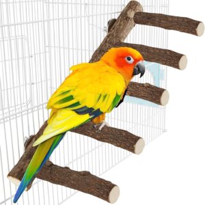 Parrot Wood Stand for Cage, 12.2Inch Length Parrot Wood Perch, Natural Bird Cage Ladder for Small Medium Parrot, Conures, Hamster, Parakeets, Cockatiels