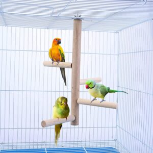 Parrot perches Bird Paw Grinding Stick Wooden Bird Perch Stand Set with 4 Wood Stick Stands Ladder budgie toys for Bird Budgie Cockatiel Play Jumping Rest Birdcage Accessories