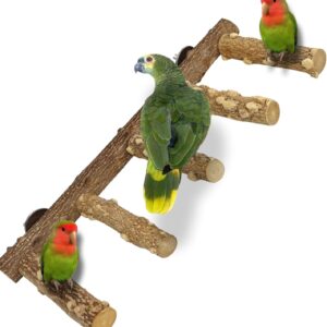 QeeHeng Parrot Perch, Nature Wood Ladder Bird Perches Budgie Toys Bird Cage Accessories for Small Medium Parrot Budgie Conures Macaws Love Birds Finches