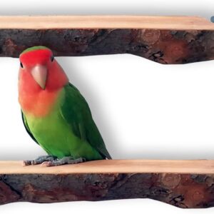 QeeHeng Wood Perch Bird Platform- 2PCS Natural Parrot Perch, Flat Bird Play Stand Parakeet Cage Accessories for Small Medium Lovebird Conures Macaws Exercise Toy