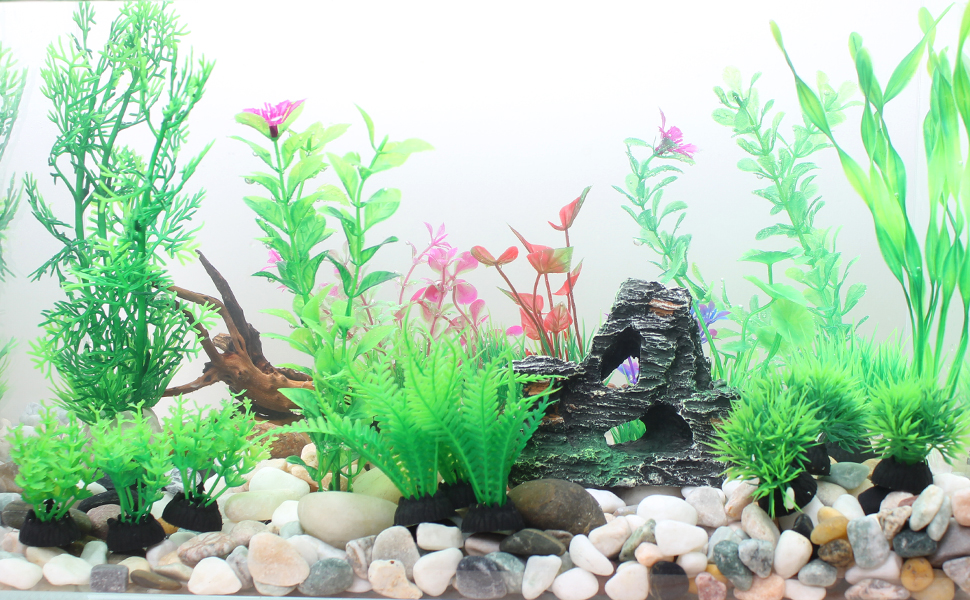 Fish Tank Decorations