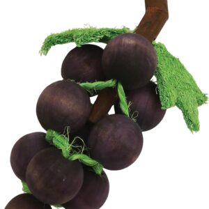 Rosewood Boredom Breaker Small Animal Activity Toy Grape-n-Gnaw