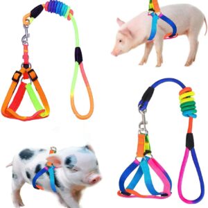 WoYous Mini Pig Harness, 2 Pieces Adjustable Small Pig Harness with Leash Set Pet Pig Harness Supplies Harness Set for for Hog Piggy Rabbit Small Animals Walking Jogging (S, Multicolor)