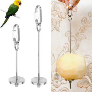 Wudong 2 Pcs Parrot Skewer,Stainless Steel Vegetable Fruit Stick Hanging Holder Birds Foraging Toy Spear Feeder for Bird Cage Accessories