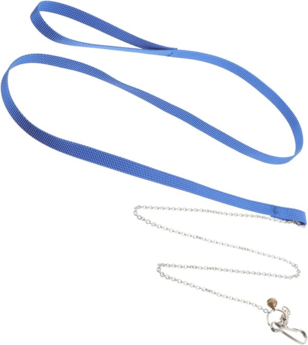 Yardwe Turtle Leash Slip Leads for Dogs Bearded Dragon Small Animal Leash Baby Items Dealspet Supplies Reptilians Ferret Harness and Leash Tortoise Rope Reptiles Walking Turtle Rope Glass