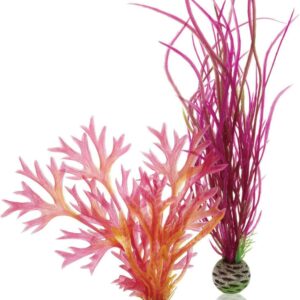 biOrb Plant Set M red and pink