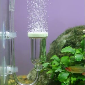 boxtech Aquarium Nano Air Stone Fish Tank Ultra Silent Nano Bubble Stone Silent Diffuser for Dissolved Oxygen, Used in Aquariums Fish Tank and Hydroponic Pumps (25 MM)