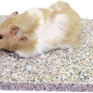 emours Hamster Chiller Cool Granite Stone Small Animal Supplies,3.5 x 3.5 inch