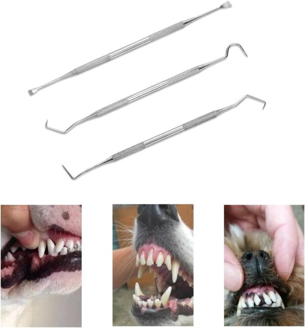 RHXWFDG 3 Pcs Pet Tooth Scaler Cleaning Kit Dog Dental Tooth Scaler Stainless Double Headed Tarter Remover Pet Dental Tools Pet Teeth Cleaning Tools for for Dogs Cats - Image 6